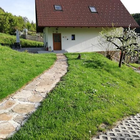 Bioferienhaus Muster - Dominkusch Possnitz Buitenkant foto