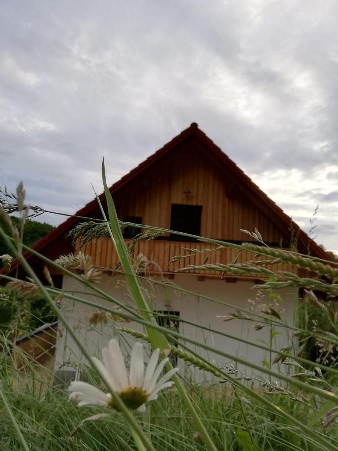 Bioferienhaus Muster - Dominkusch Possnitz Buitenkant foto